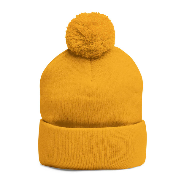 Cozy Pom-Pom Knit Cap with Embroidered Design, Winter Beanie, Casual Fashion Accessory, Gift for Her, Stylish Headwear